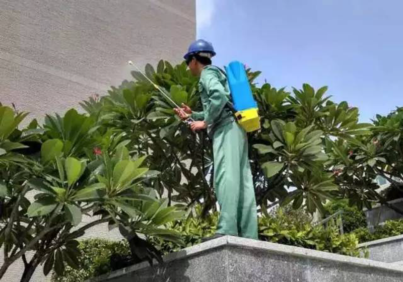 写字楼物业服务:打造高效办公空间